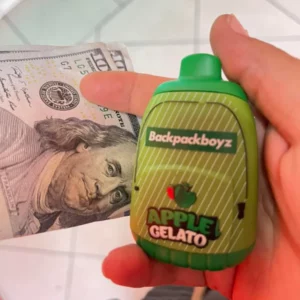 Backpack Boyz Vape